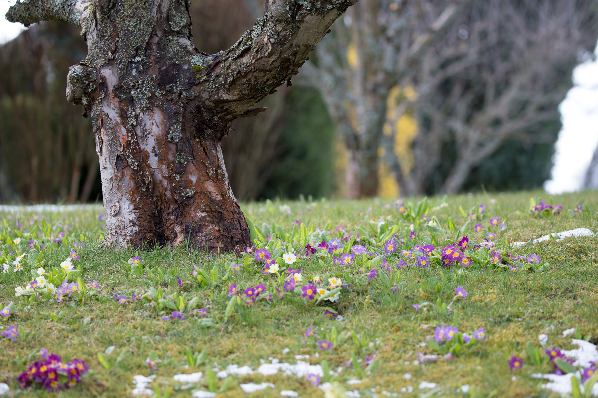 20220409142409 3K6A1898